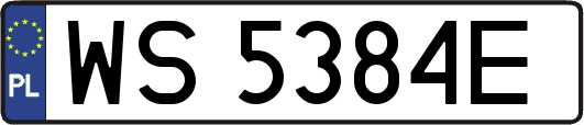 WS5384E