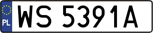 WS5391A