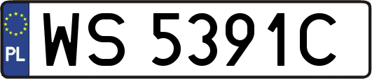 WS5391C
