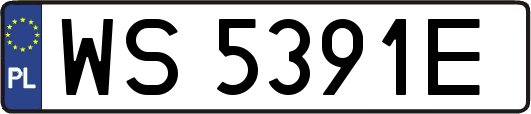 WS5391E