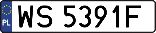 WS5391F