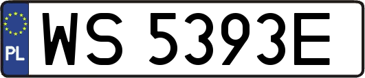 WS5393E
