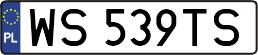 WS539TS