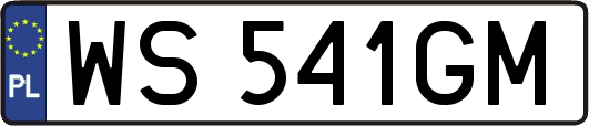 WS541GM