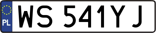 WS541YJ