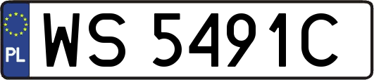 WS5491C