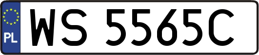 WS5565C