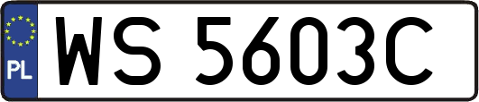 WS5603C