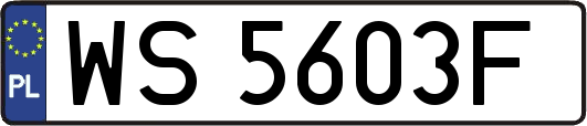 WS5603F