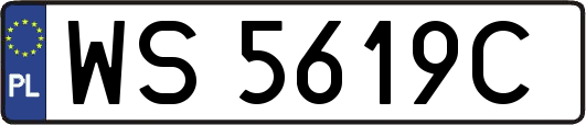 WS5619C