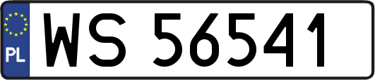 WS56541