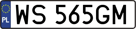 WS565GM