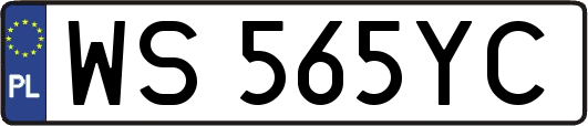 WS565YC