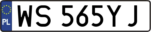 WS565YJ