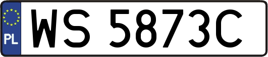 WS5873C