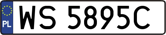 WS5895C