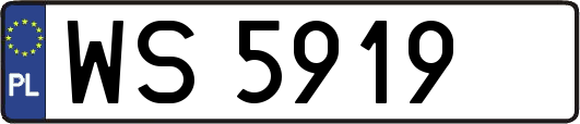 WS5919