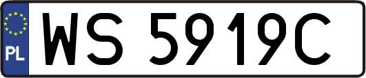 WS5919C