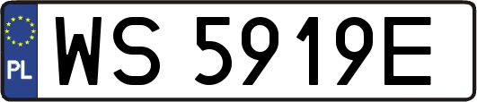 WS5919E