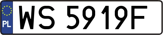 WS5919F