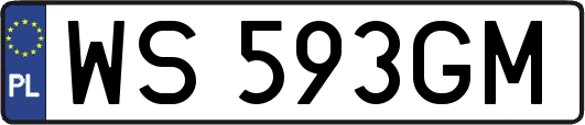 WS593GM