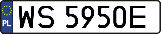 WS5950E
