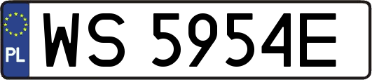 WS5954E