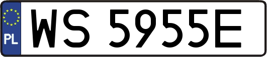 WS5955E