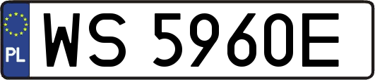 WS5960E