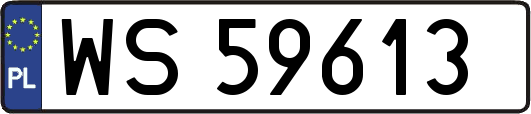 WS59613
