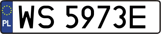 WS5973E