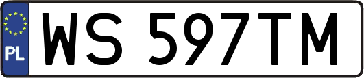 WS597TM