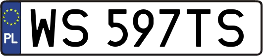 WS597TS