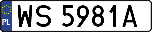 WS5981A
