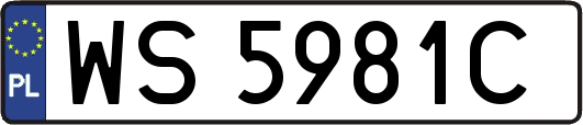 WS5981C