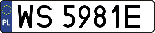 WS5981E