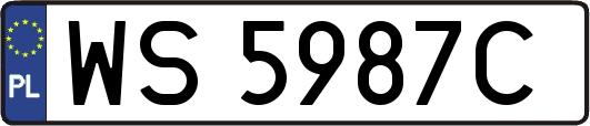 WS5987C