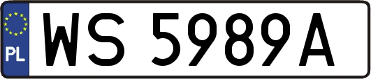 WS5989A