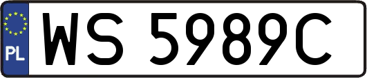 WS5989C