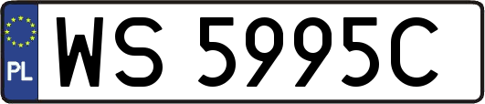 WS5995C