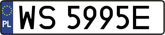 WS5995E