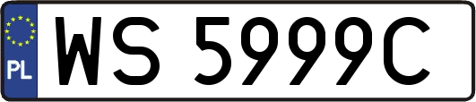 WS5999C