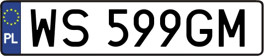 WS599GM