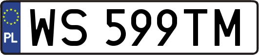 WS599TM
