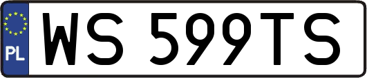 WS599TS