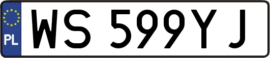 WS599YJ