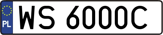WS6000C