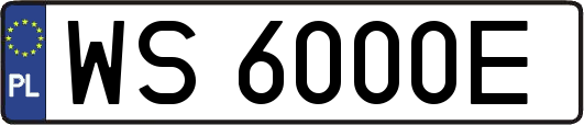 WS6000E