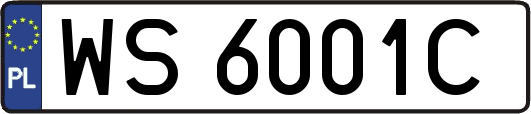 WS6001C