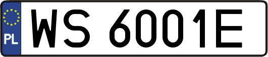 WS6001E